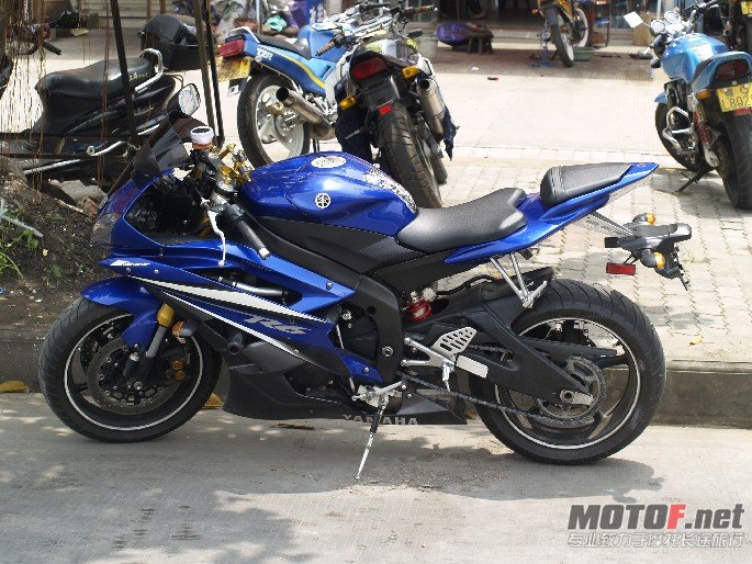 BigBull__1010009.JPG