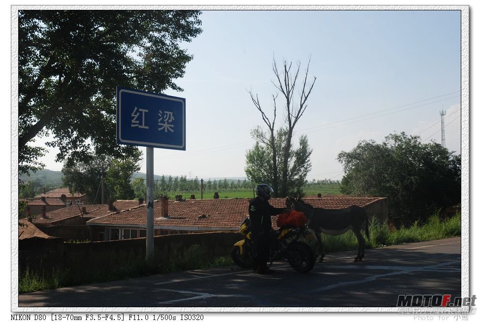 nEO_IMG_DSC_2454.jpg