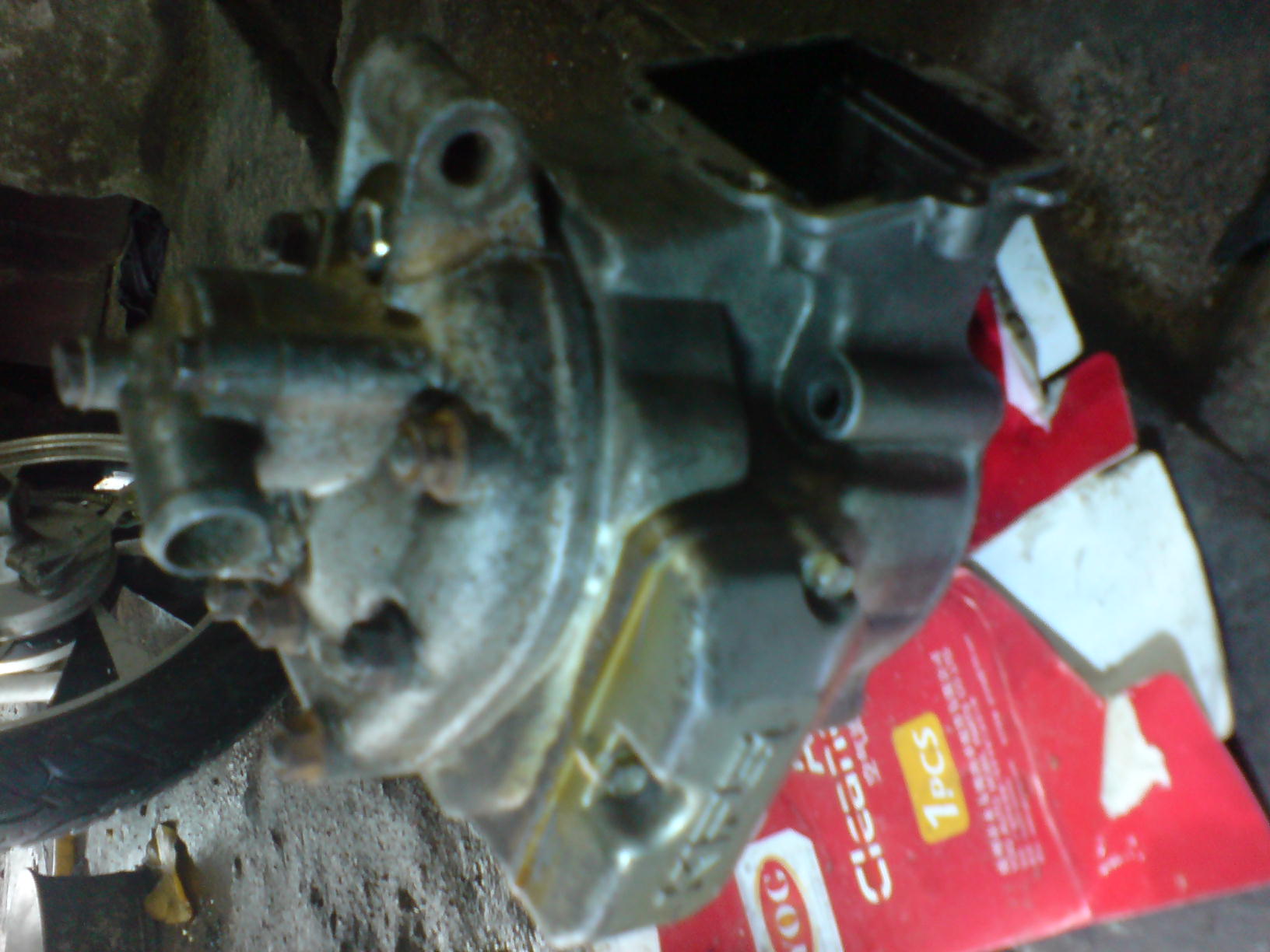 DSC00826.JPG