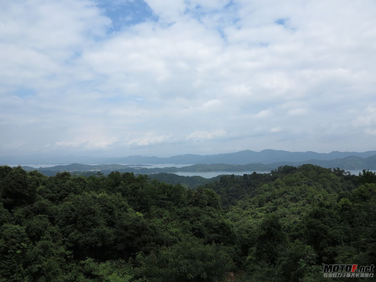 IMG_0230.jpg