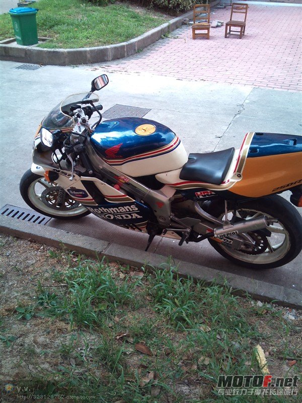 555.jpg