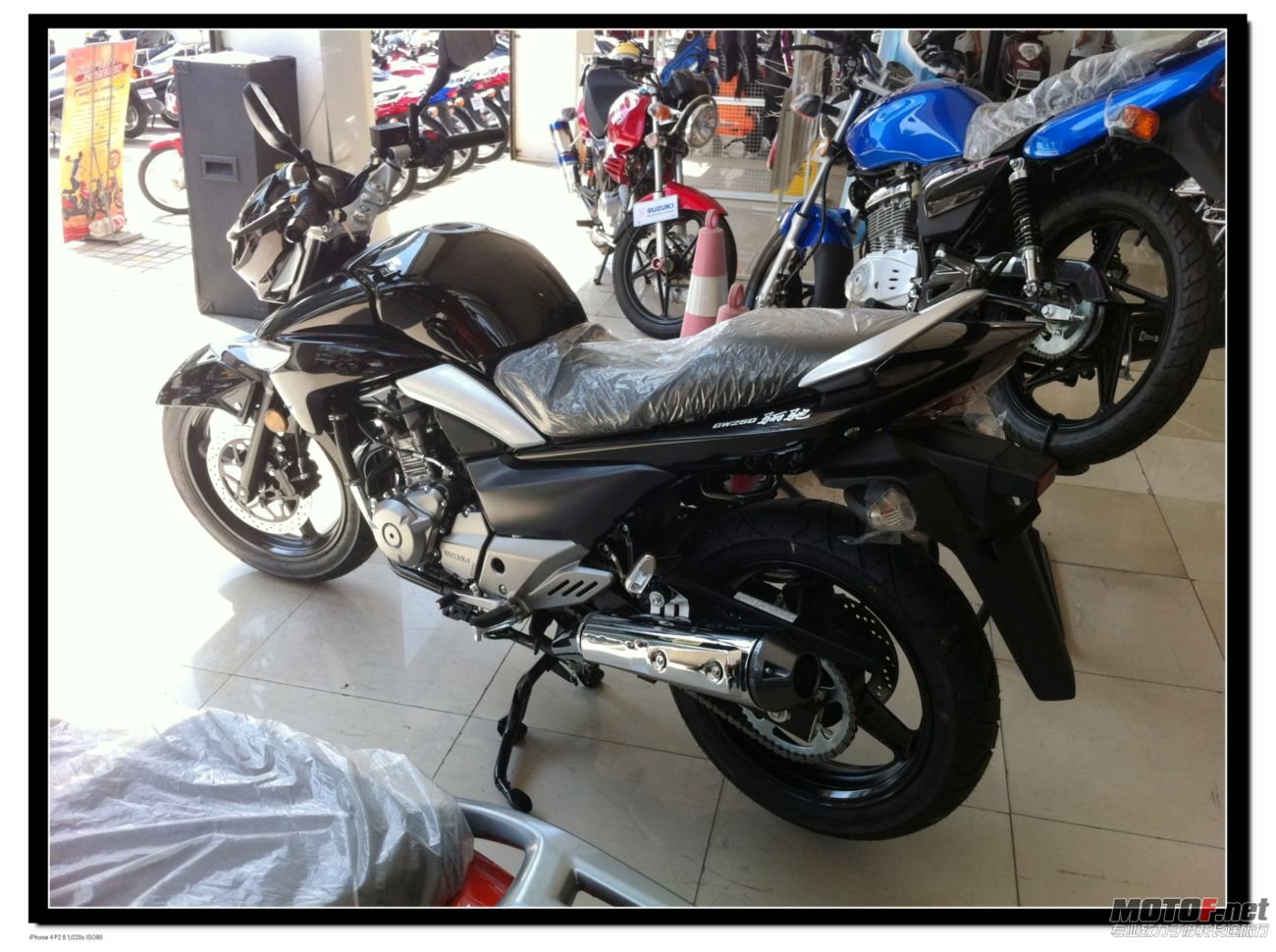 新车 (4).jpg