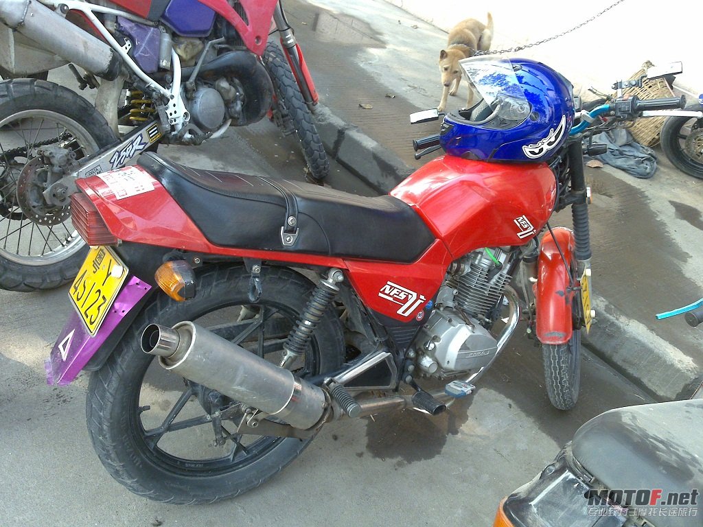 20100117020.jpg