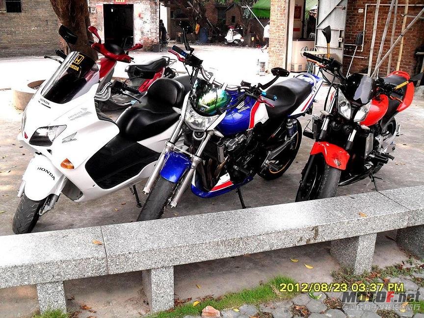 SDC14499.JPG