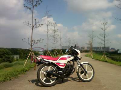 AR80.jpg