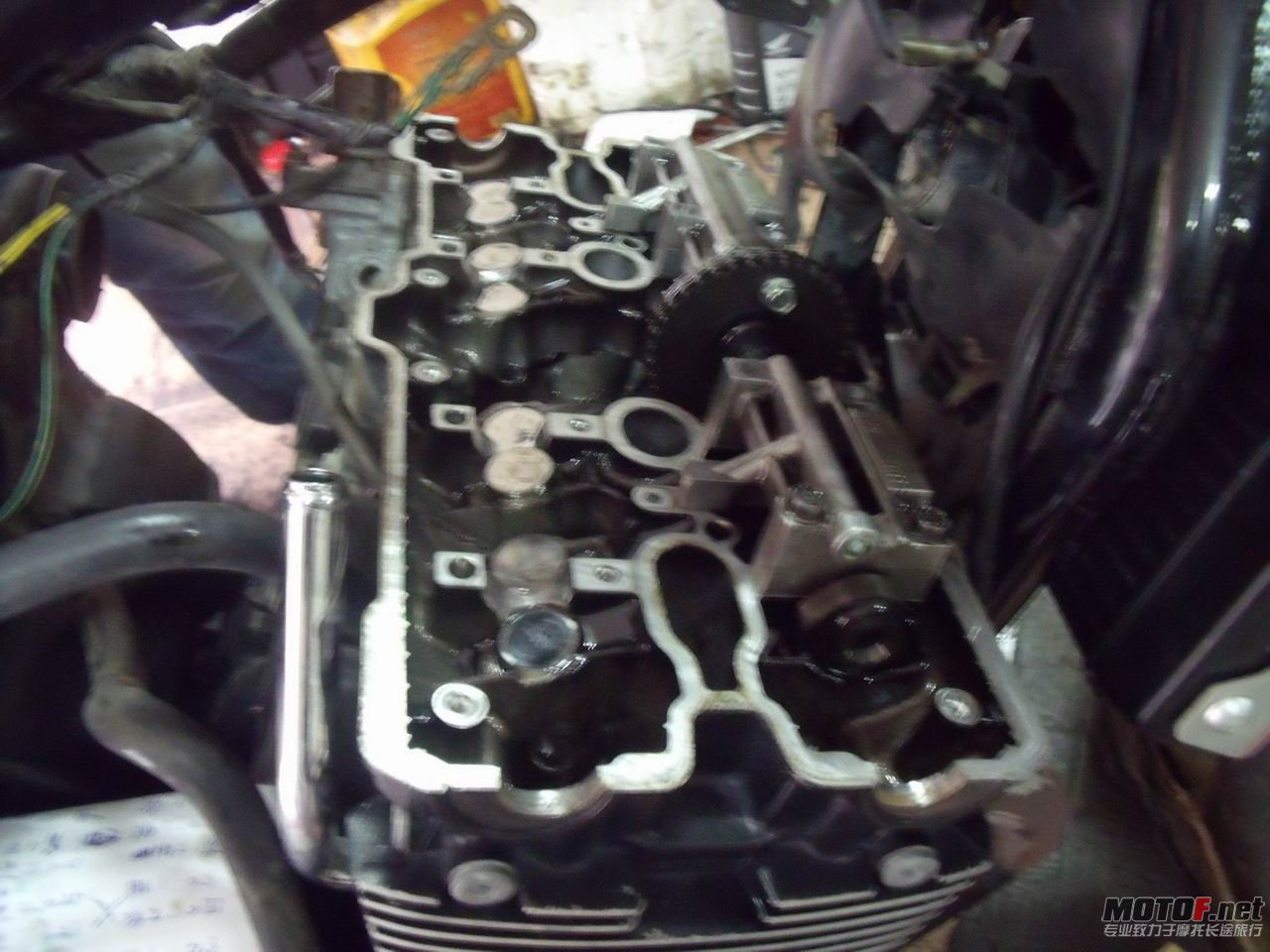 DSCF2408.jpg
