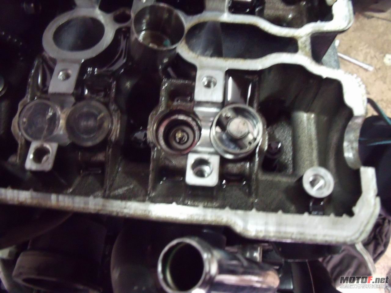 DSCF2405.jpg
