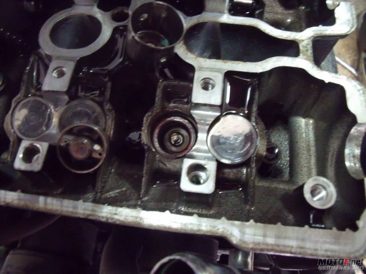DSCF2406.jpg