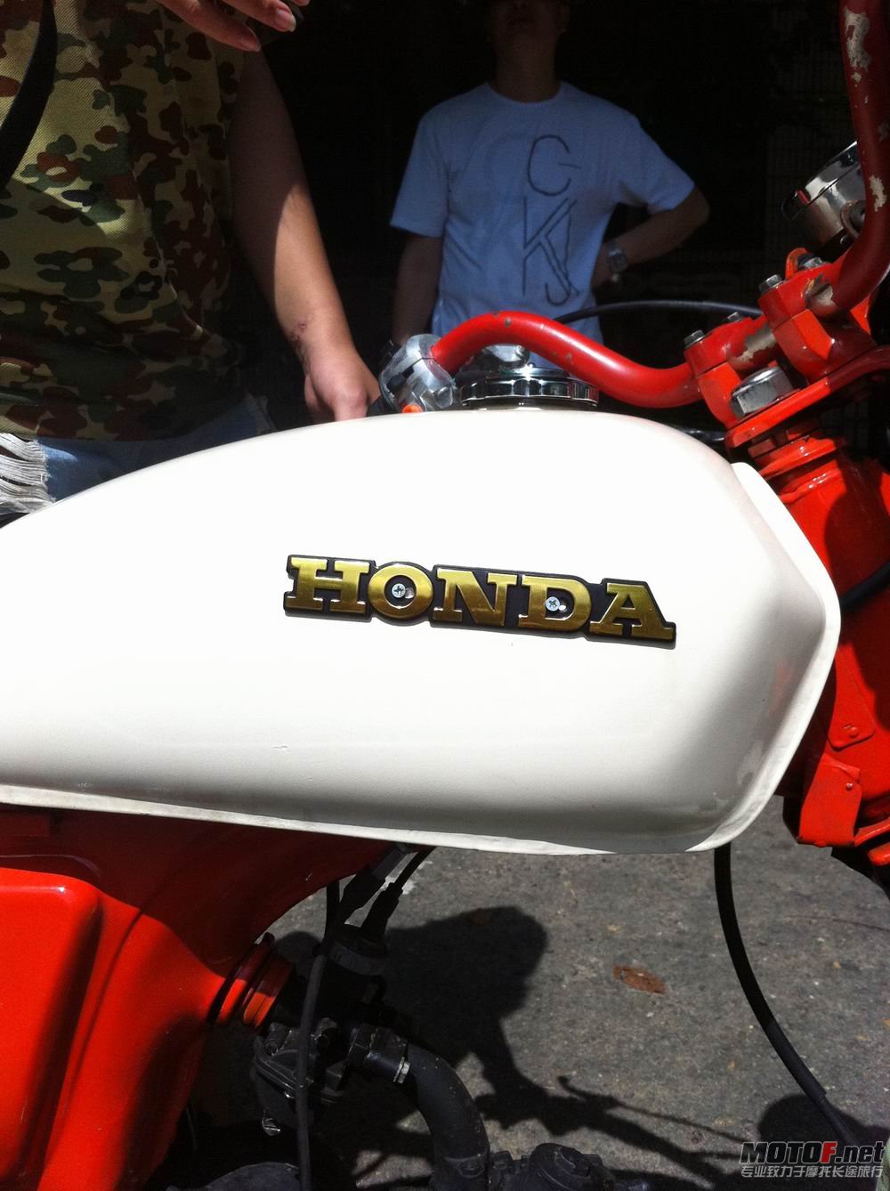 2012082812491234161[1].jpg