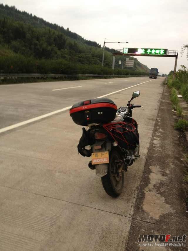 照片 006.jpg