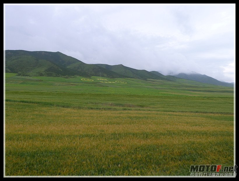 P1010885_副本.jpg