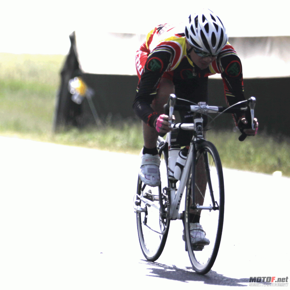_MG_3565.gif
