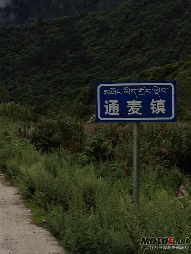 照片 005.jpg