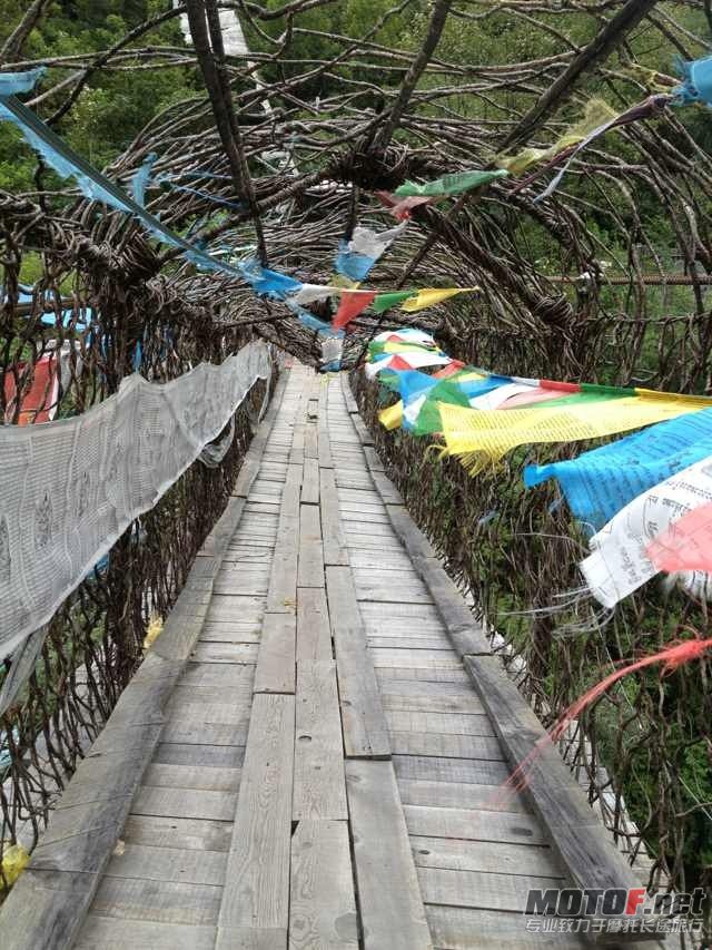 照片 008.jpg