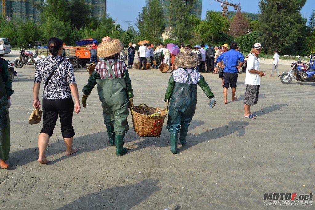 conew_dsc_0343.jpg