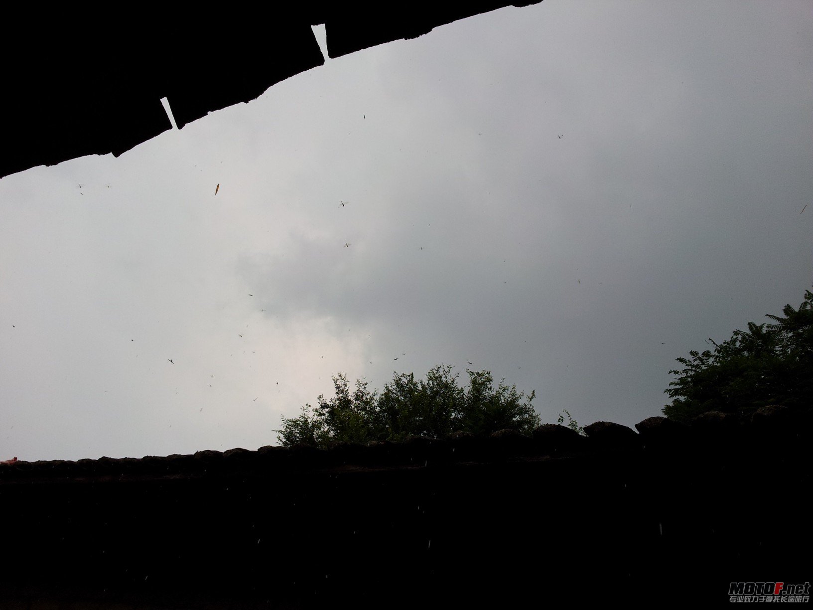 20120805_130532(1).jpg
