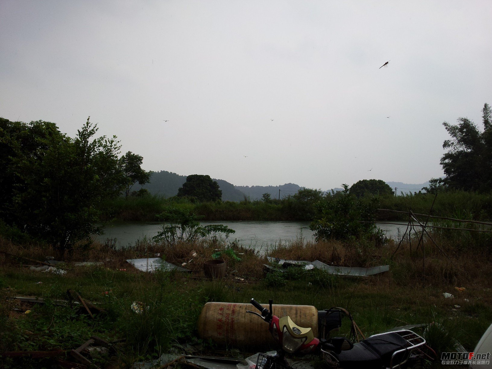 20120805_130635(1).jpg