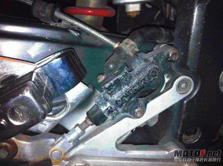 复件 IMG_0015.gif