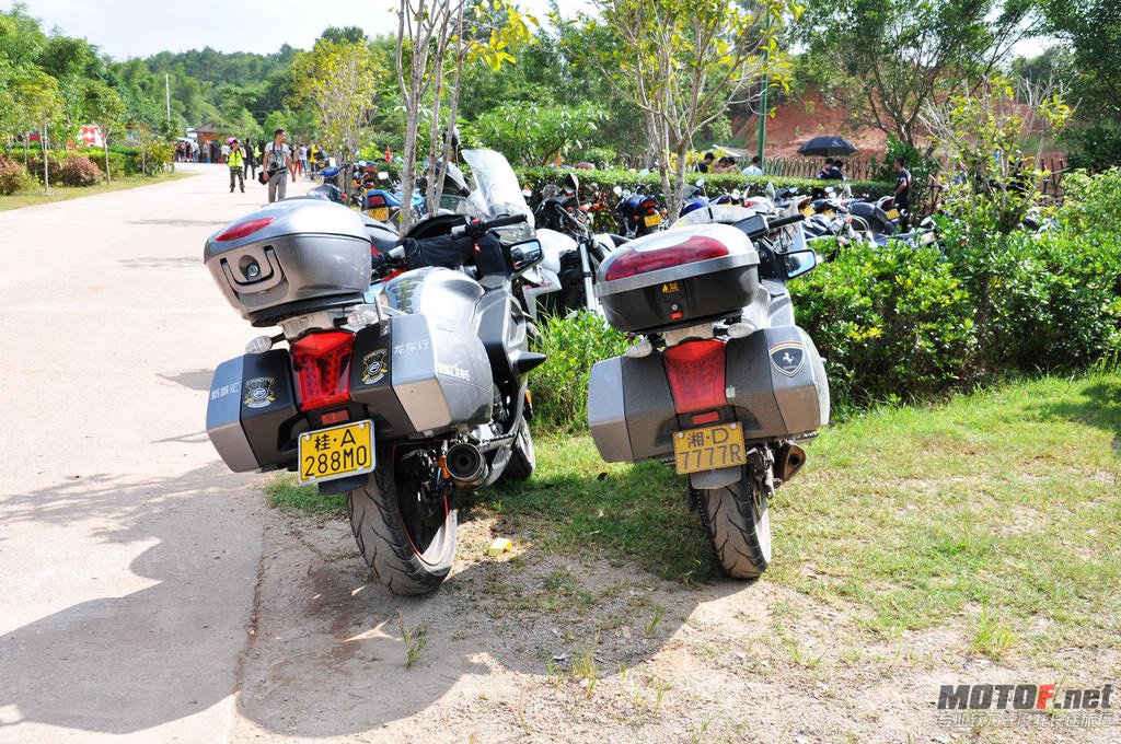 DSC_0527.jpg