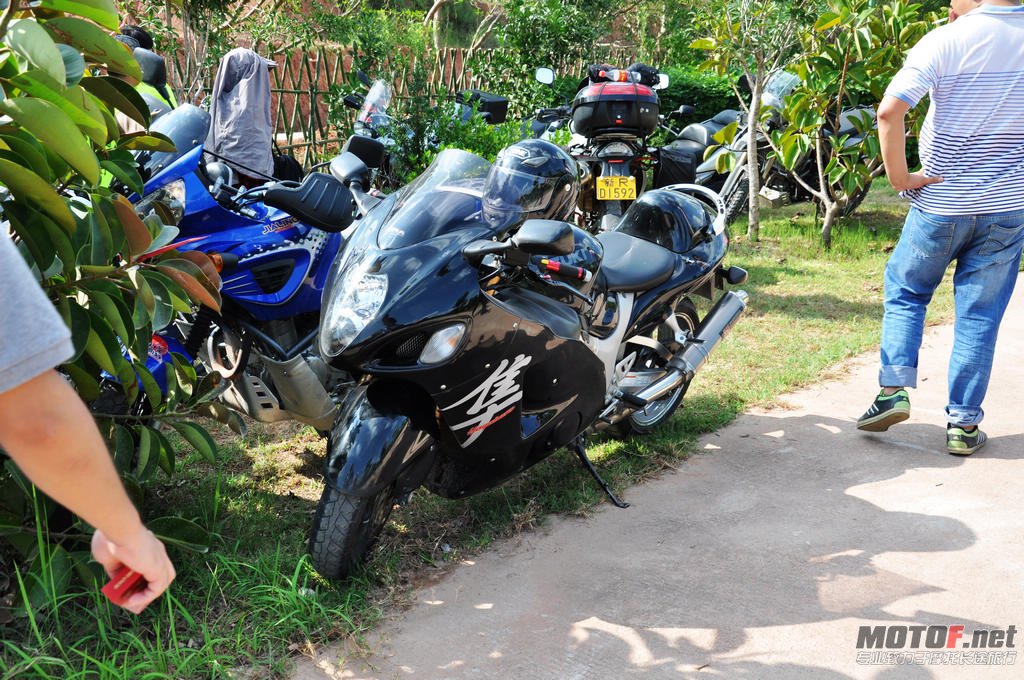 DSC_0531.jpg