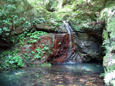 岩东肖森林公园