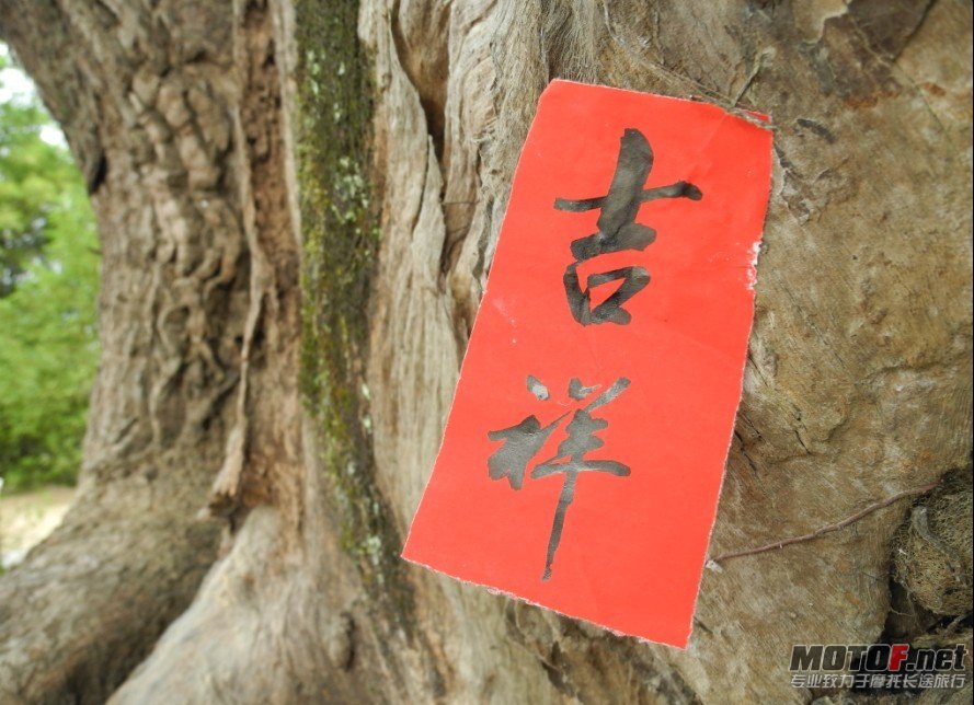 字写的不错