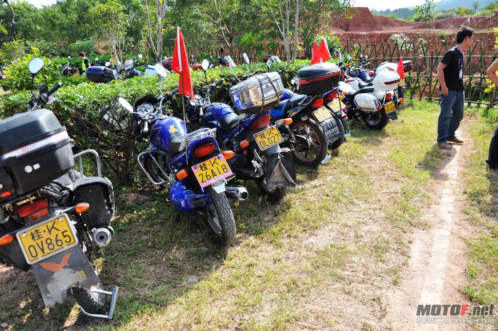 DSC_0548.jpg