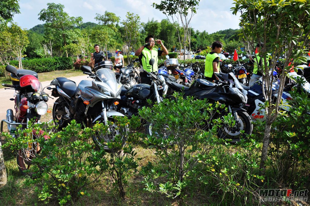 DSC_0550.jpg