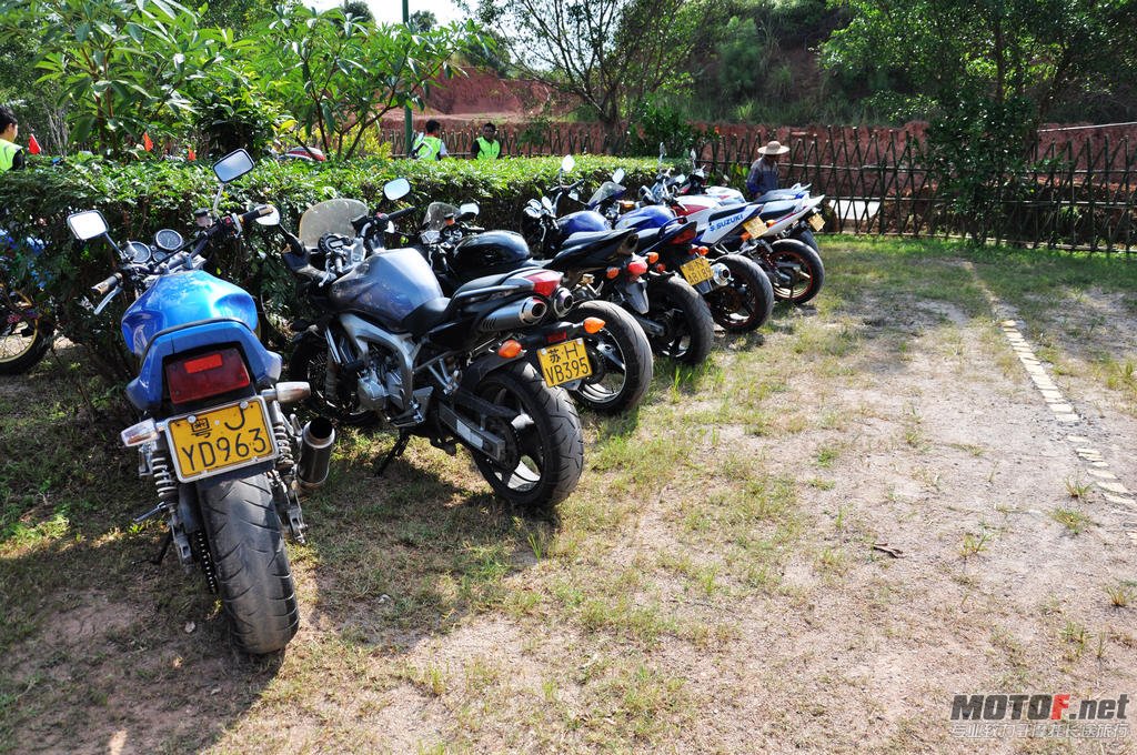 DSC_0553.jpg