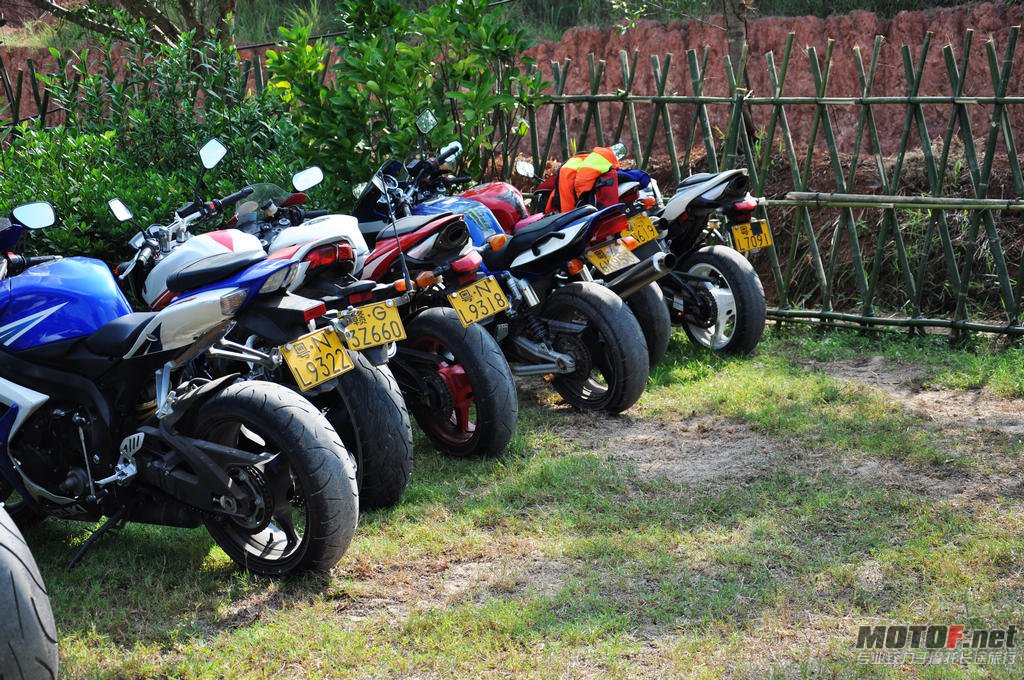 DSC_0559.jpg