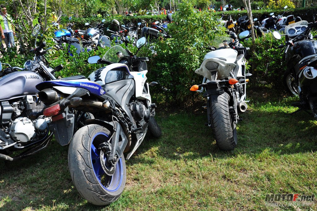 DSC_0561.jpg