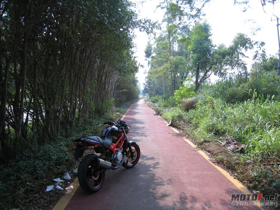2012年10日2曰vtr250 093.jpg