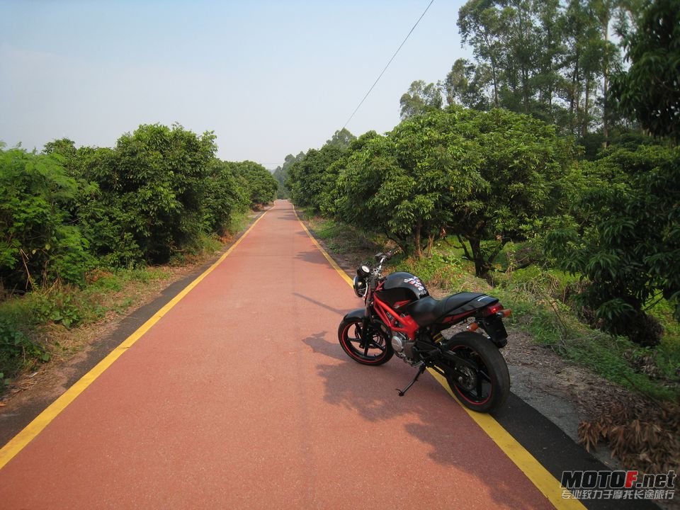 2012年10日2曰vtr250 095.jpg