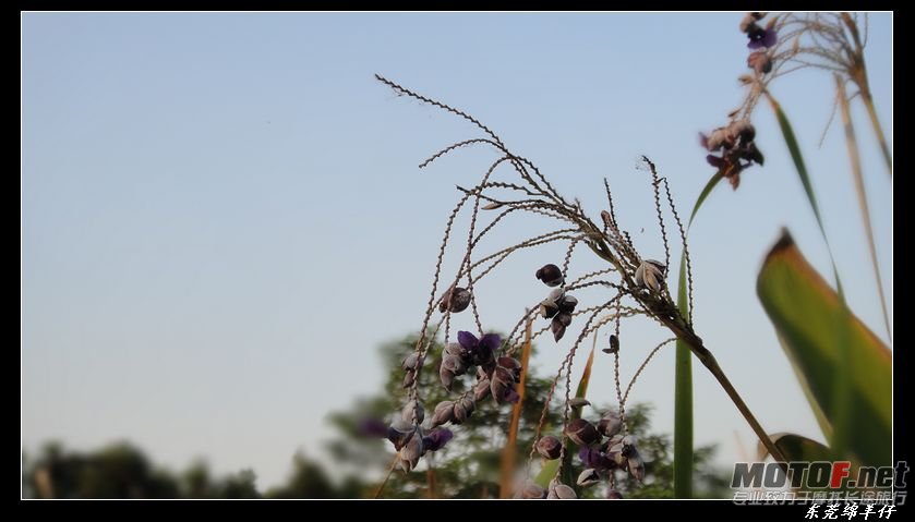 DSC00767.jpg