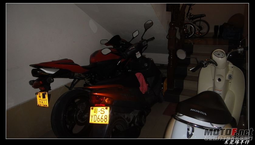 DSC00811.jpg