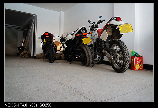 DSC01295.jpg