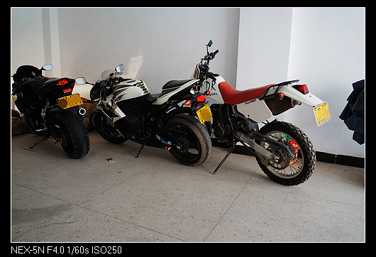DSC01296.jpg