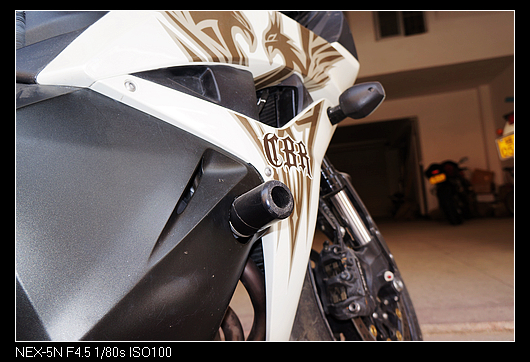 DSC01314.jpg