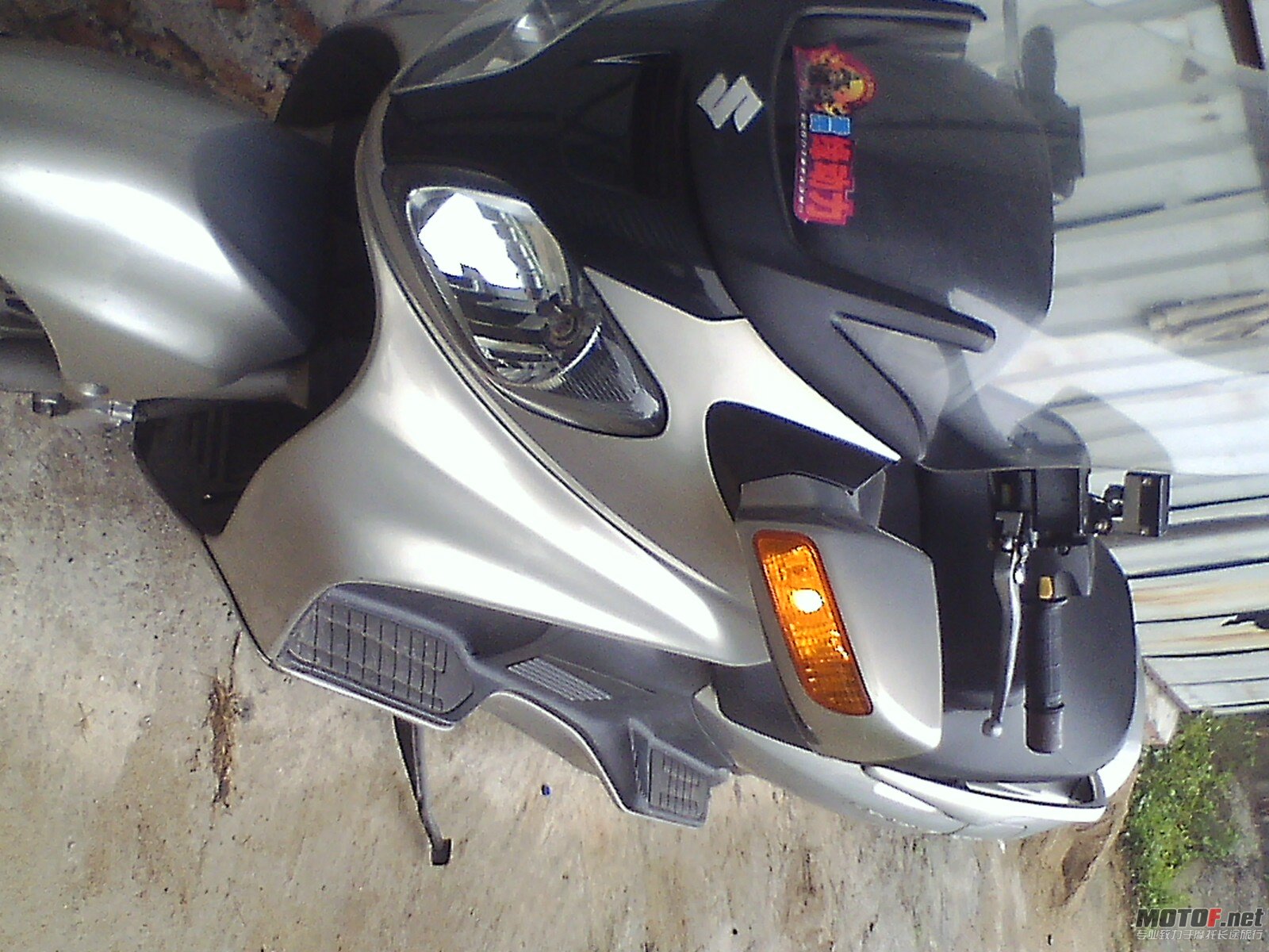 IMG0308105601.jpg