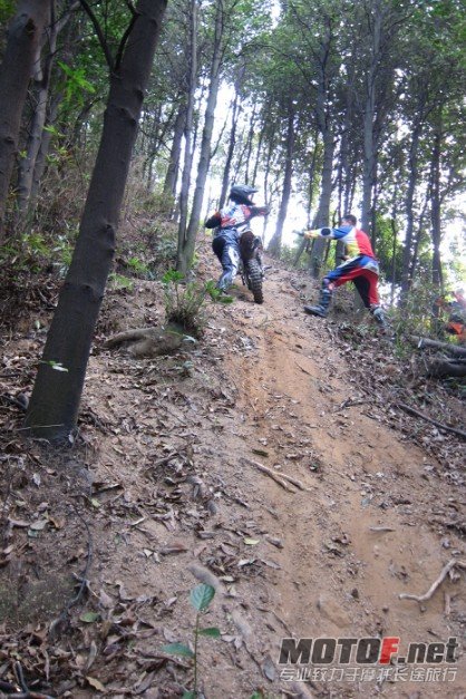 DSC0834821.jpg