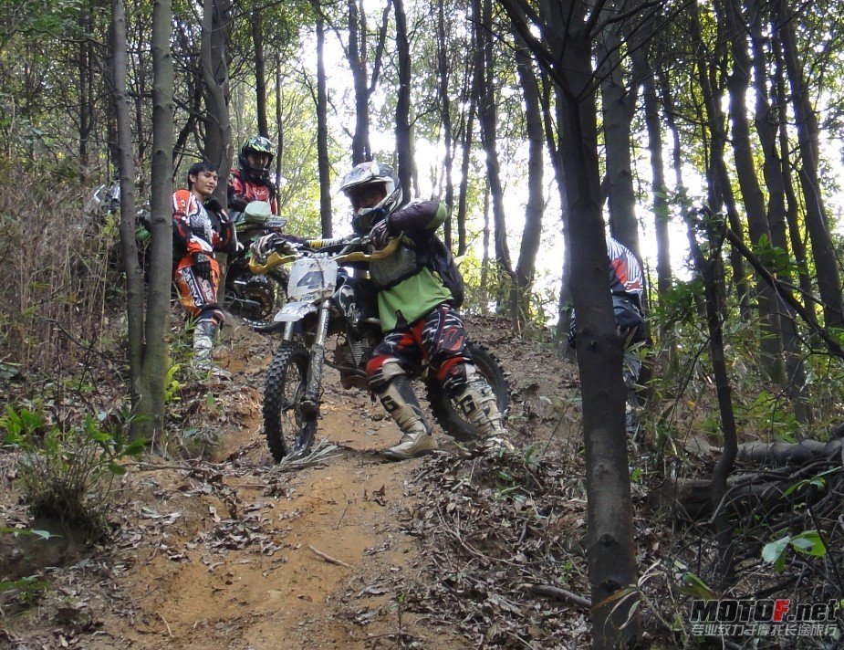 DSC0834824.jpg