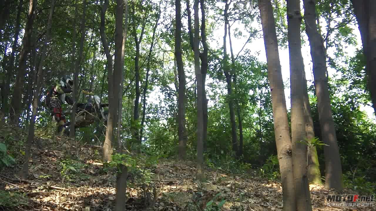 DSC0834830.jpg