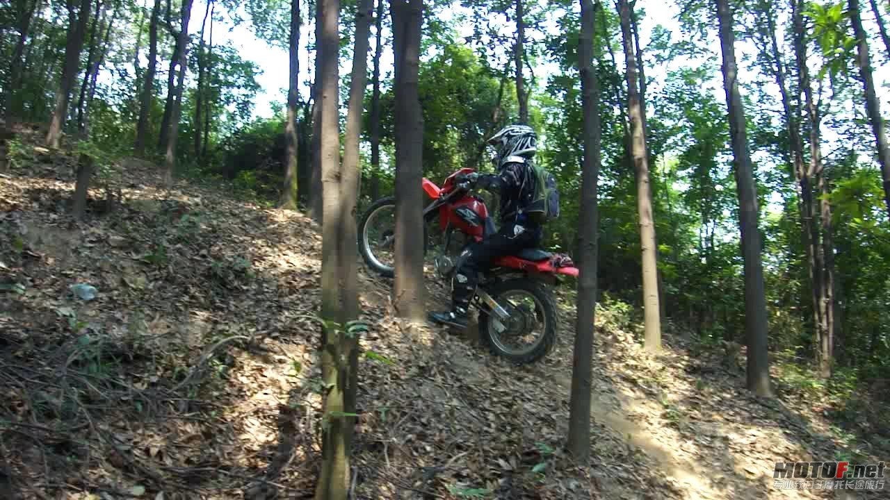 DSC0834834.jpg