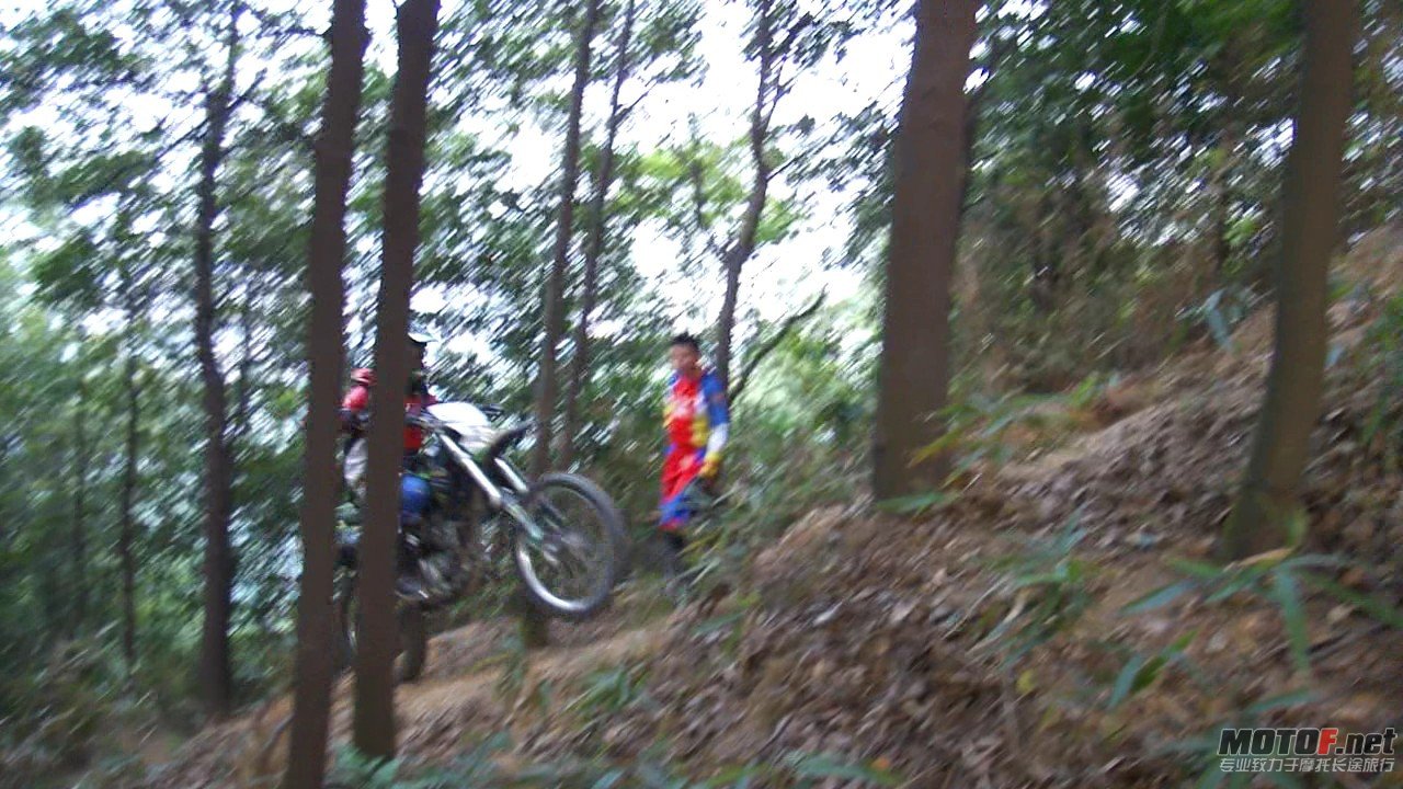 DSC0834836.jpg