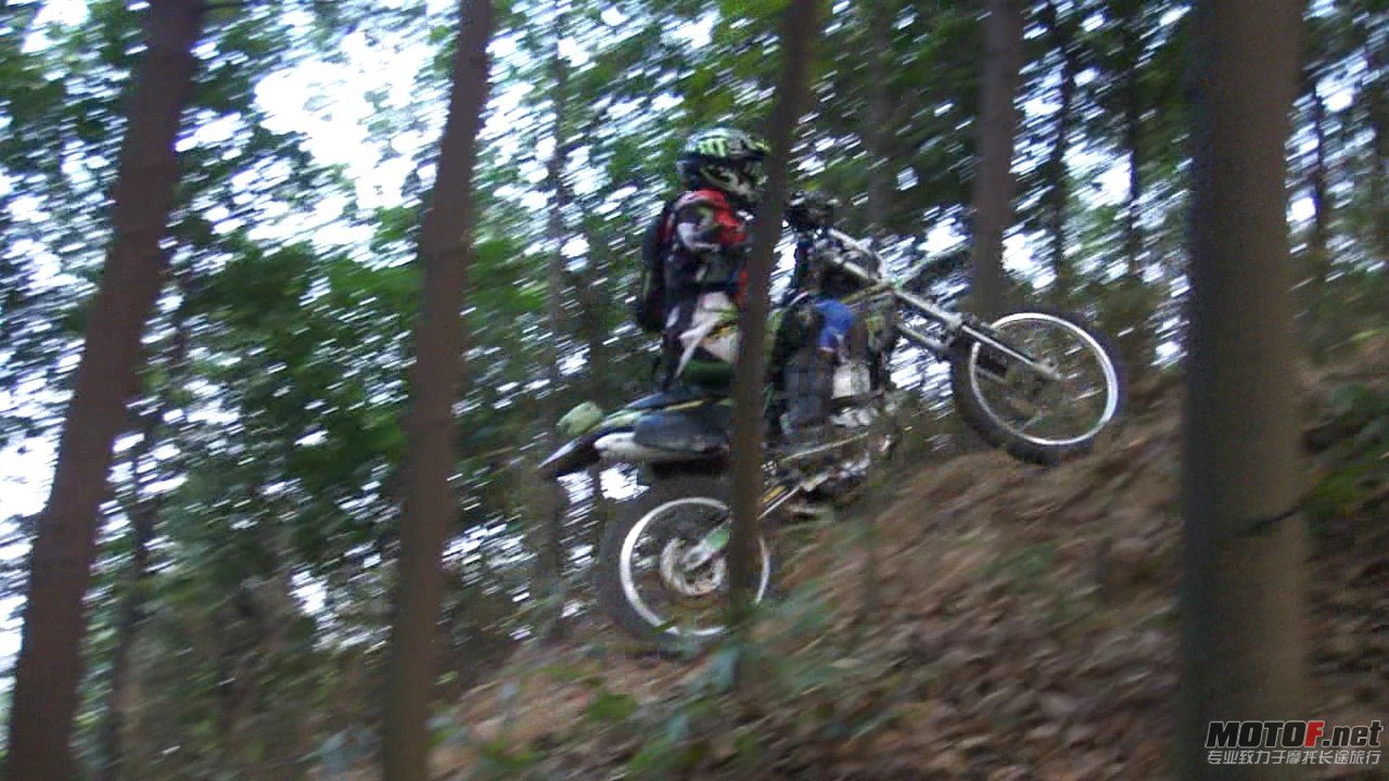 DSC0834837.jpg