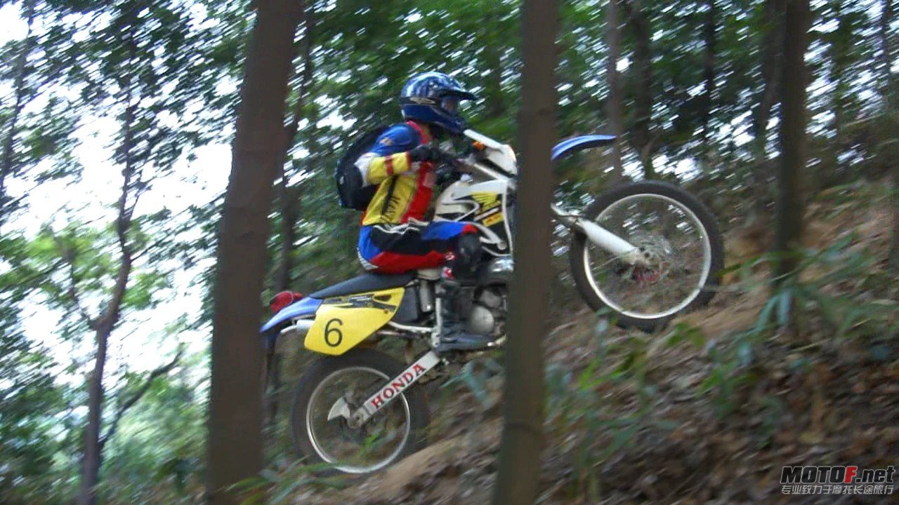DSC0834842.jpg