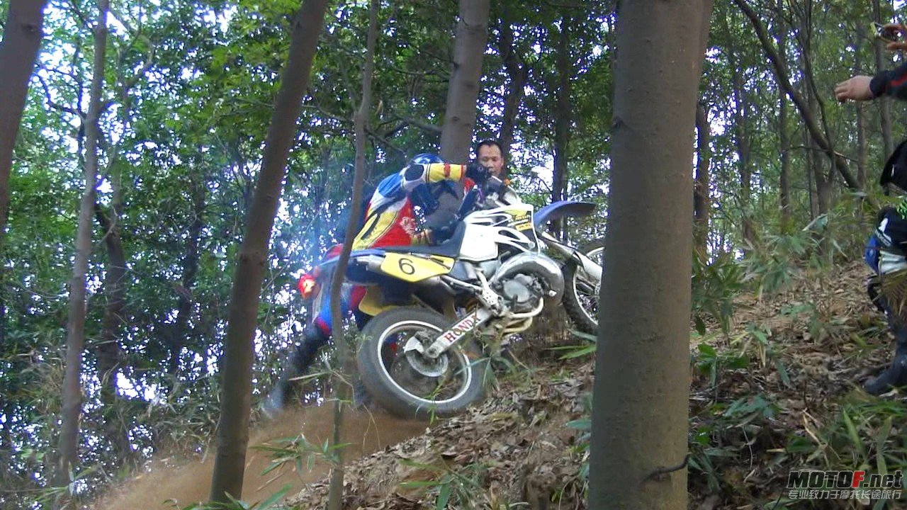DSC0834845.jpg