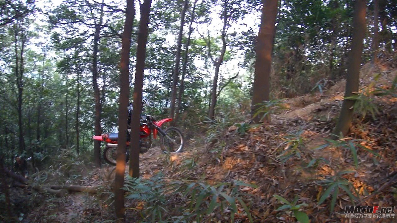 DSC0834847.jpg