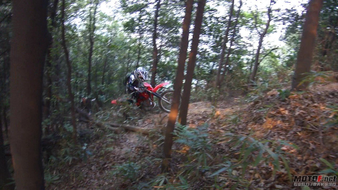 DSC0834848.jpg