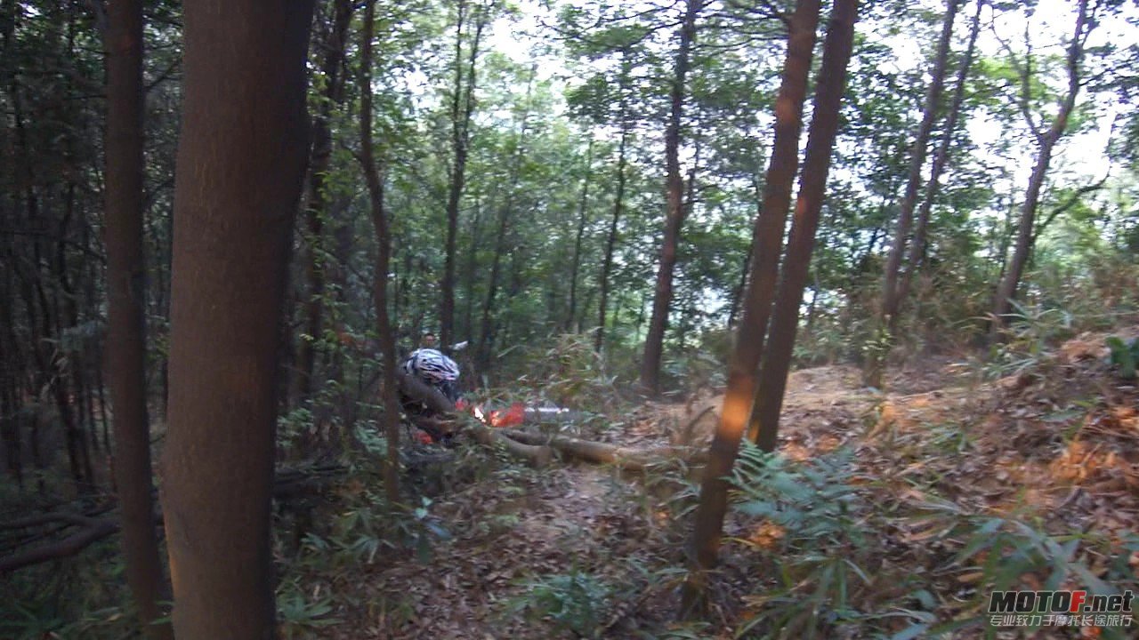 DSC0834849.jpg